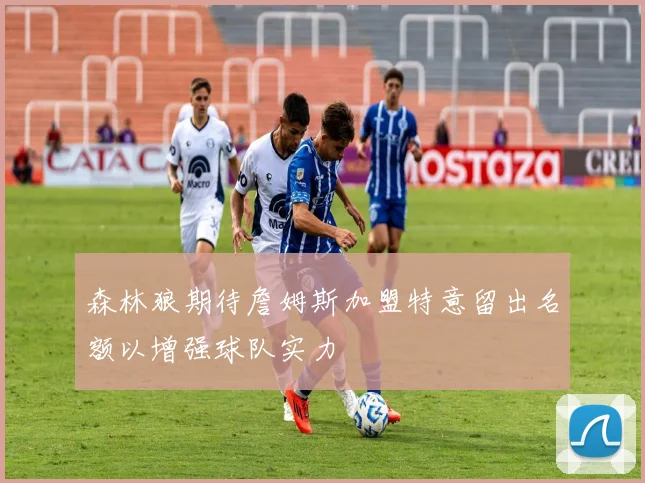 森林狼期待詹姆斯加盟特意留出名额以增强球队实力