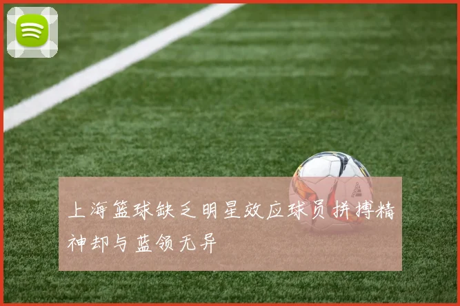 上海篮球缺乏明星效应球员拼搏精神却与蓝领无异